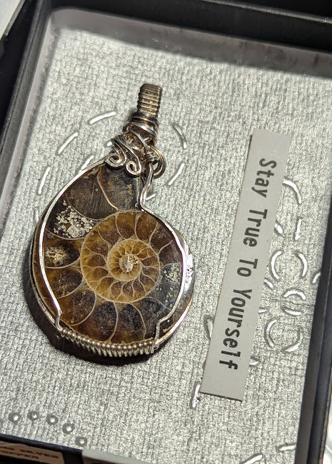 Ammonite Silver Pendant