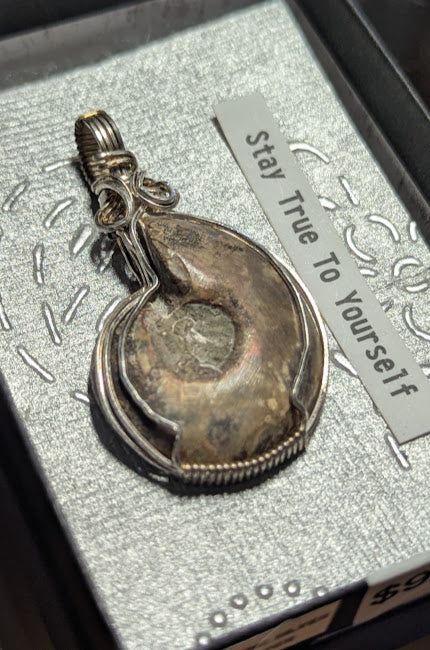 Ammonite Silver Pendant